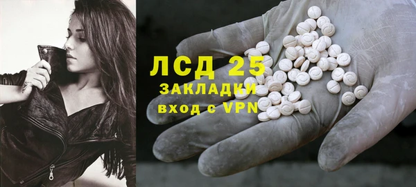 шишки Няндома