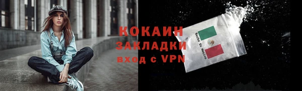 кокс Гусев