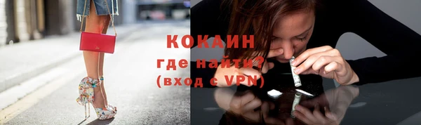 кокс Гусев