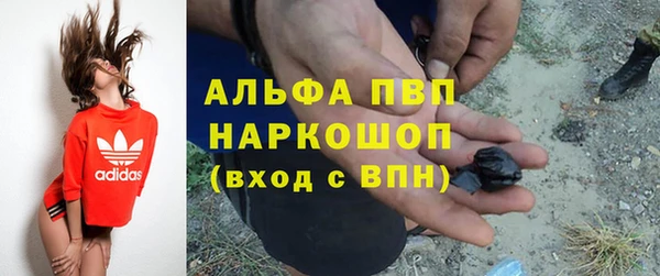кокс Гусев