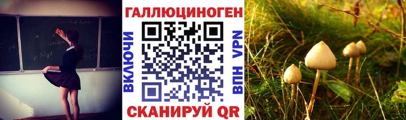 Псилоцибиновые грибы ЛСД  Новочеркасск 